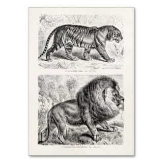 Vintage Tiger Illustration Tigers Template Business Card Template