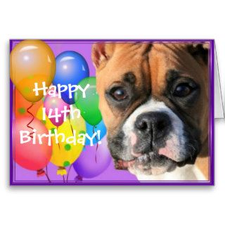Happy 14th Birthday Boxer Dog greeting card