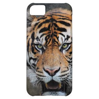 Bengal Tiger iPhone 5C Cover