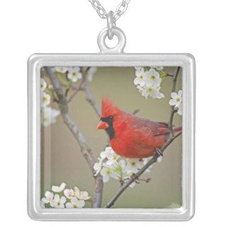 Male Northern Cardinal among pear tree Jewelry