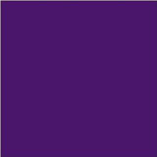 Vinyl Ease V1513   12" x 20 ft Roll of Matte 631 Violet Repositionable Adhesive Backed Backed Vinyl for Craft Cutters, Punches and Vinyl Sign Cutters