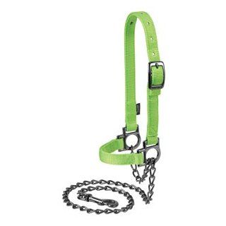 Weaver Leather Nylon Adjustable Sheep Halter with Chain Lead, Lime Zest  Horse Halters  Sports & Outdoors