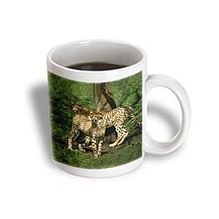 3dRose Cheetah Mug, 11 Ounce Kitchen & Dining