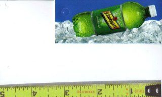 Magnum, Small Rectangle Size Schweppes Ginger Ale Bottle on Ice Soda Vending Machine Flavor Strip, Label Card, Not a Sticker 