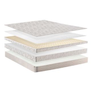 Plush Beds Eco Bliss 12 Latex Foam Medium Mattress