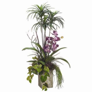 Tori Home Orchid, Bromeliad Dracaena in Terra Cotta Container