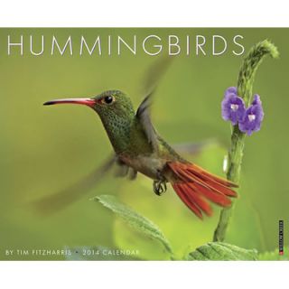 Willow Creek Press Hummingbirds 2014 Wall Calendar