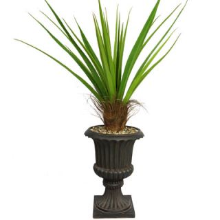 Laura Ashley Home Tall Agave Plant with Cocoa Skin in Fiberstone