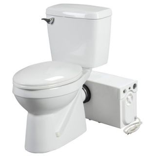 Bathroom Anywhere 1.6 GPF Elongated Rear Discharge 2 Piece Toilet with