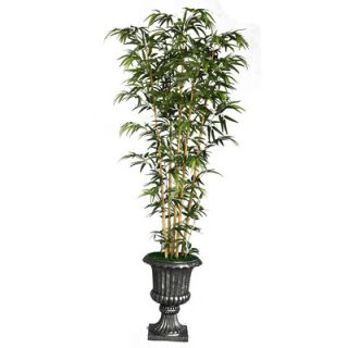 Laura Ashley Home Tall Bamboo Tree in Urn