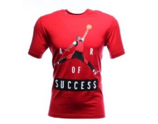 Nike Air Jordan Air Of Success Mens T Shirt 606295 695 at  Mens Clothing store