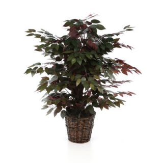 Vickerman Deluxe 4 Artificial Potted Natural Capensia Tree in Green