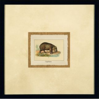 Phoenix Galleries Capybara Framed Print
