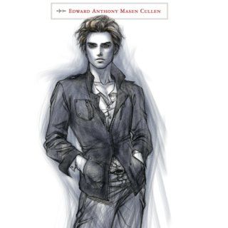 The Twilight Saga The Official Illustrated Guide Stephenie Meyer 9780316043120 Books