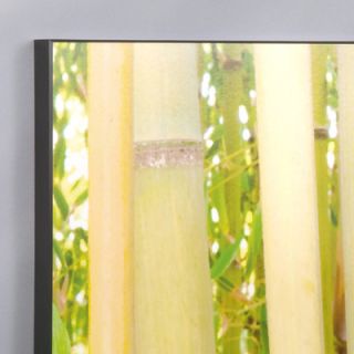 Wilson Studios Three Piece Hawaiian Bamboo Forest Laminated Framed