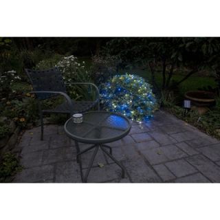 Mr. Light 200 LED Solar Net Lights with Green Wire in Blue and White