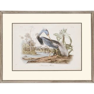 Paragon Audubon Herons by Audubon Traditional Art   24 x 31 (Set of