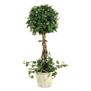Curily Plant Ivy Round Tree in Pot