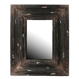 Privilege Reclaimed Wall Mirror