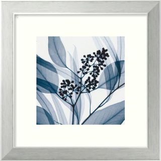 Eucalyptus I by Steven N. Meyers, Framed Print Art   14.12 x 14.12