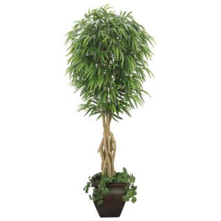Laura Ashley Home Realistic Willow Ficus Tree in Decorative Planter