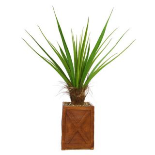 Laura Ashley Home Tall Agave Plant with Cocoa Skin in Fiberstone