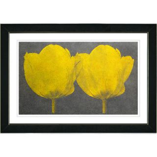 Studio Works Modern Twin Tulips Framed Fine Art Giclee Print