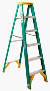 Werner 5906 225 Pound Duty Rating Type II Fiberglass Stepladder, 6 Foot   Ladder  