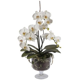 Winward Designs Glass Vase with Medium Orchid Phalaenopsis