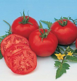 Tomato Moskvich D756 (Red Slicer) 50 Organic Heirloom Seeds by David's Garden Seeds  Tomato Plants  Patio, Lawn & Garden
