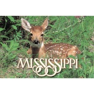 Mississippi Postcard Ms307 White Tail Fawn Case Pack 750 Sports & Outdoors
