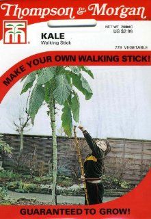 Thompson & Morgan 779 Kale Walking Stick Seed Packet  Lawn And Garden Hand Tools  Patio, Lawn & Garden