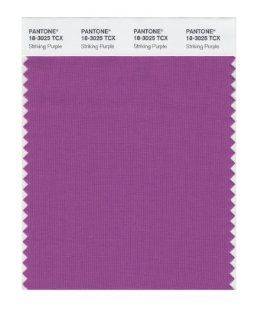 PANTONE SMART 18 3025X Color Swatch Card, Striking Purple   House Paint  