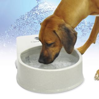 K&H Pet Products Large Clean Flow Water Dish   Automatic Dog Feeders