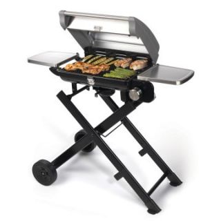Cuisinart All Foods Fold Away Gas Grill   Gas Grills
