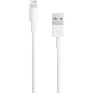 Apple Computer 2 Meter Lightning To USB Cable (MD819ZM/A)  Players & Accessories