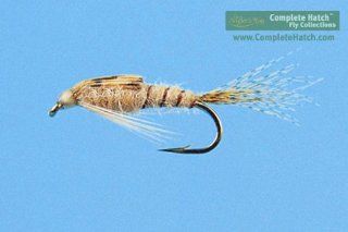 Light Cahill   Nymph  Dry Fishing Flies  Sports & Outdoors
