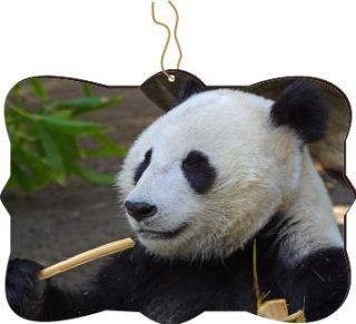 Rikki KnightTM Panda Face Close Up Design Tree Ornament / Car Rear View Mirror Hanger   Decorative Hanging Ornaments