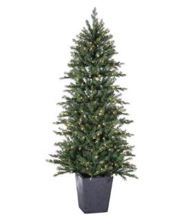6 ft. Pre Lit Potted Natural Cut Lenox Pine Christmas Tree   Christmas Trees