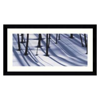 Pine Trees and Morning Shadows Framed Wall Art by William Neill   38.62W x 21.12H in.   Photography