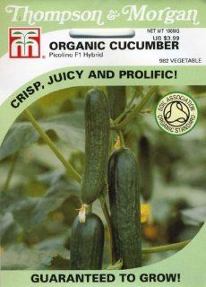 Thompson & Morgan 982 Organic Cucumber Picolino Seed Packet  Cucumber Plants  Patio, Lawn & Garden