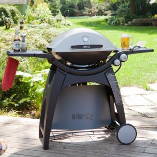 Weber Q 300 Gas Grill   Gas Grills