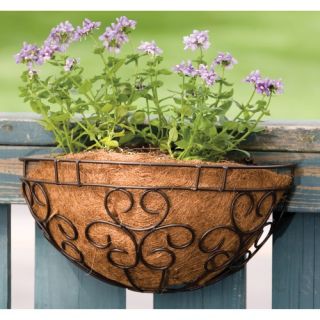 Panacea Cameo Series Wall Planter   16 in.   Planters