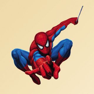 Marvel Amazing Spiderman Wall Decal   Wall Decals