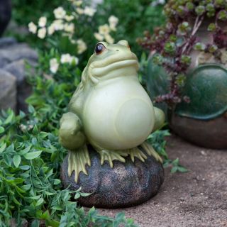 Alpine Glow in the Dark Frog on a Rock Garden Statue   Garden Statues