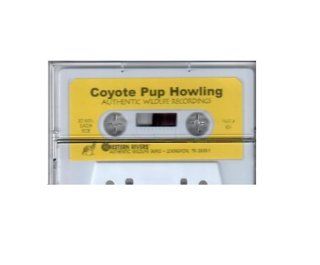 Western Rivers 824 Mity Call Coyote Pup Howling Cassette Tape  Coyote Calls And Lures  Sports & Outdoors