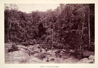 1907 Print Gold Prospecting Panning Deposits Rainforest British Guiana Guyana   Original Halftone Print  