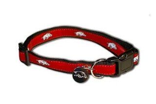 Sporty K9 Arkansas Dog Collar, Small  Pet Collars 