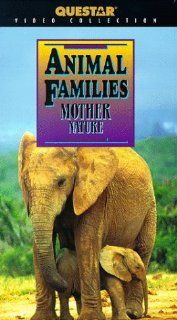 Animal Families Mother Nature [VHS] Animal Families Movies & TV