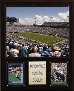 NFL Jacksonville Municipal Stadium Stadium Plaque  Sports & Outdoors